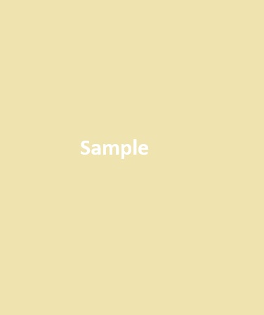 Test Product 5